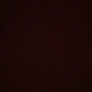 Meet your Posher, Daniela